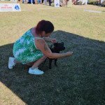 IMG_3090