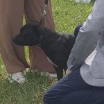 IMG_2636