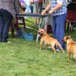IMG_6299