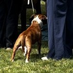IMG_6286