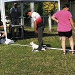 IMG_6558