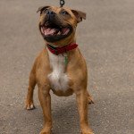 IMG_6313