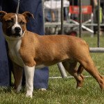 IMG_6312