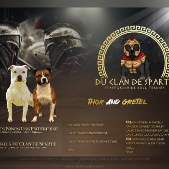 Mariage Valhalla du Clan de Sparte ❤ Thor