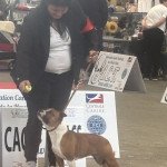 IMG_0543