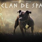 du clan de sparte copie