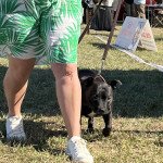 IMG_3083